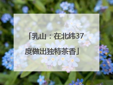 乳山：在北纬37度做出独特茶香