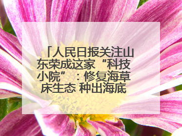 人民日报关注山东荣成这家“科技小院”：修复海草床生态 种出海底“森林”