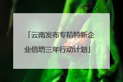 云南发布专精特新企业倍增三年行动计划