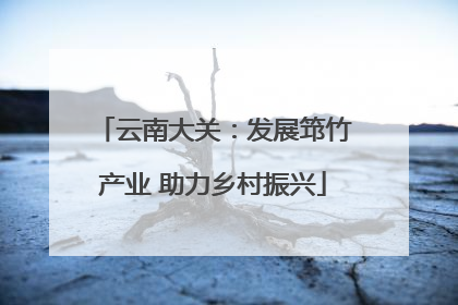 云南大关：发展筇竹产业 助力乡村振兴