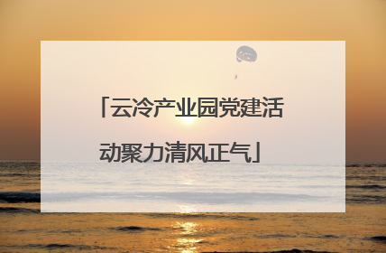 云冷产业园党建活动聚力清风正气