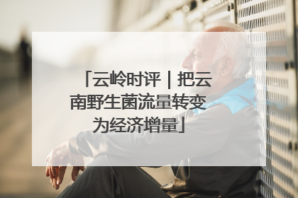 云岭时评｜把云南野生菌流量转变为经济增量