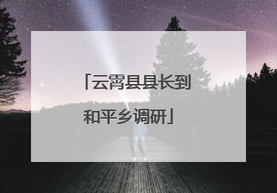 云霄县县长到和平乡调研