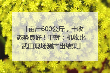 亩产600公斤，丰收态势良好！卫辉：机收比武田现场测产出结果