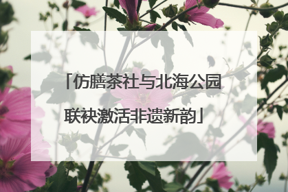 仿膳茶社与北海公园联袂激活非遗新韵