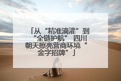 从“精准滴灌”到“全链护航” 四川朝天擦亮营商环境“金字招牌”