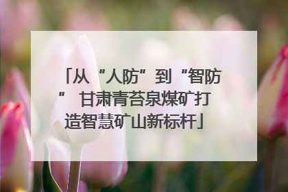 从“人防”到“智防” 甘肃青苔泉煤矿打造智慧矿山新标杆