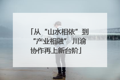从“山水相依”到“产业相融” 川渝协作再上新台阶