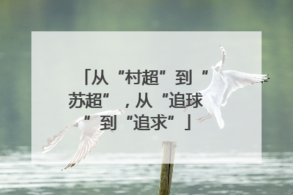 从“村超”到“苏超”，从“追球”到“追求”