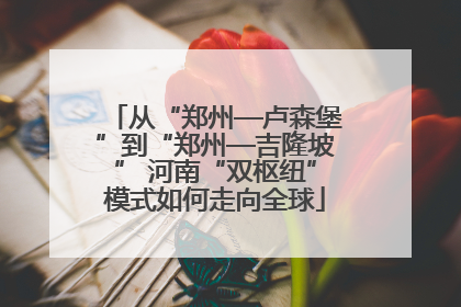 从“郑州—卢森堡”到“郑州—吉隆坡” 河南“双枢纽”模式如何走向全球