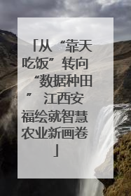 从“靠天吃饭”转向“数据种田” 江西安福绘就智慧农业新画卷