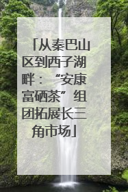 从秦巴山区到西子湖畔：“安康富硒茶”组团拓展长三角市场