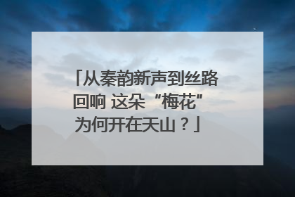 从秦韵新声到丝路回响 这朵“梅花”为何开在天山？