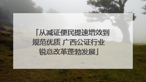 从减证便民提速增效到规范优质 广西公证行业锐意改革蓬勃发展