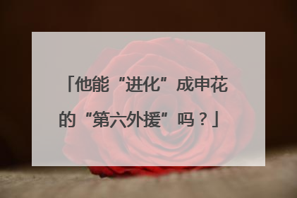 他能“进化”成申花的“第六外援”吗？
