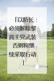 以防长：必须解除黎真主党武装 否则将继续采取行动
