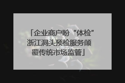 企业商户盼“体检” 浙江洞头预检服务颠覆传统市场监管