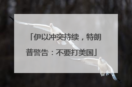 伊以冲突持续，特朗普警告：不要打美国