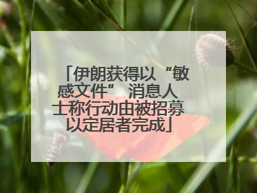 伊朗获得以“敏感文件” 消息人士称行动由被招募以定居者完成