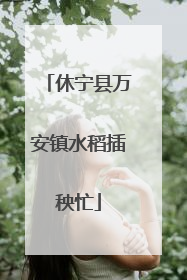 休宁县万安镇水稻插秧忙