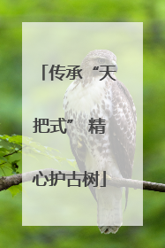传承“天把式” 精心护古树
