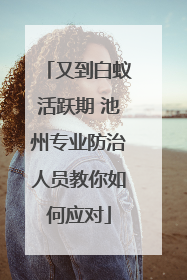 又到白蚁活跃期 池州专业防治人员教你如何应对