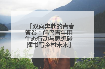 双向奔赴的青春答卷：鸬鸟青年用生态行动与思想碰撞书写乡村未来