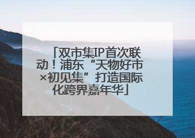 双市集IP首次联动！浦东“天物好市×初见集”打造国际化跨界嘉年华