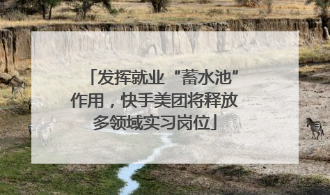 发挥就业“蓄水池”作用，快手美团将释放多领域实习岗位