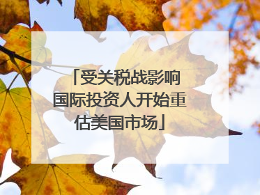 受关税战影响 国际投资人开始重估美国市场