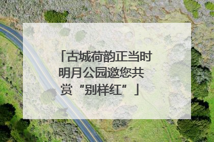 古城荷韵正当时 明月公园邀您共赏“别样红”