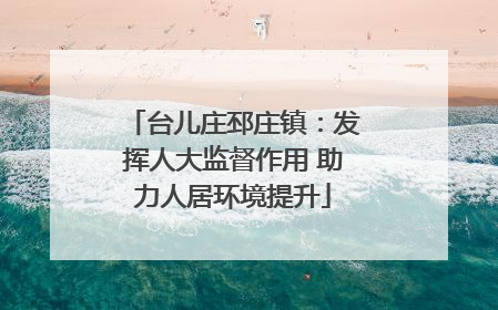 台儿庄邳庄镇：发挥人大监督作用 助力人居环境提升