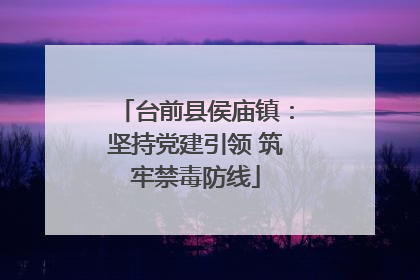台前县侯庙镇：坚持党建引领 筑牢禁毒防线
