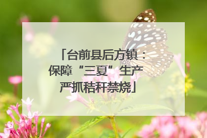 台前县后方镇：保障“三夏”生产 严抓秸秆禁烧