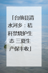 台前县清水河乡：秸秆禁烧护生态 三夏生产保丰收