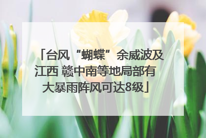 台风“蝴蝶”余威波及江西 赣中南等地局部有大暴雨阵风可达8级