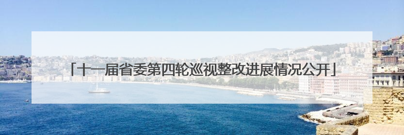 十一届省委第四轮巡视整改进展情况公开