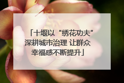十堰以“绣花功夫”深耕城市治理 让群众幸福感不断提升
