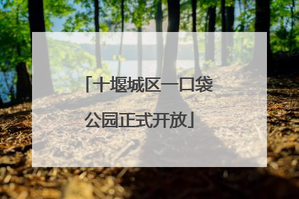 十堰城区一口袋公园正式开放
