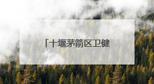 十堰茅箭区卫健局“安全生产月”活动成效显著