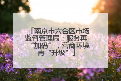 南京市六合区市场监督管理局：服务再“加码”，营商环境再“升级”