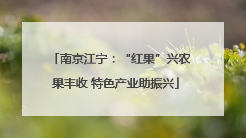 南京江宁：“红果”兴农果丰收 特色产业助振兴