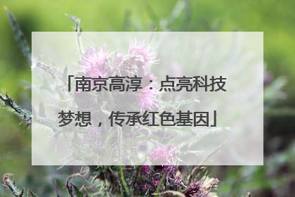 南京高淳：点亮科技梦想，传承红色基因