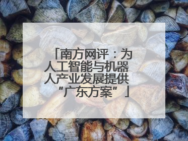 南方网评：为人工智能与机器人产业发展提供“广东方案”