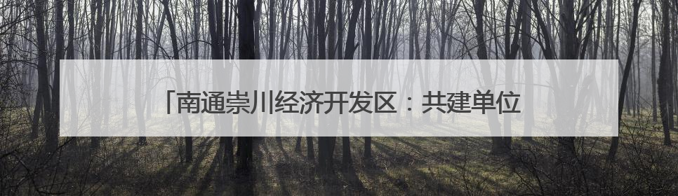 南通崇川经济开发区：共建单位进社区 服务群众“零距离”