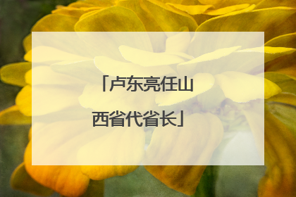 卢东亮任山西省代省长