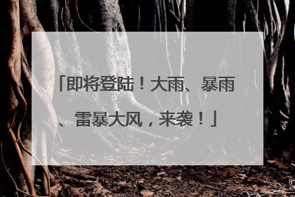 即将登陆！大雨、暴雨、雷暴大风，来袭！