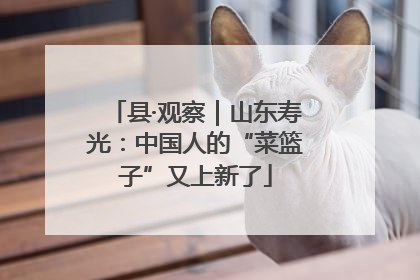 县·观察｜山东寿光：中国人的“菜篮子”又上新了
