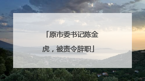 原市委书记陈金虎，被责令辞职