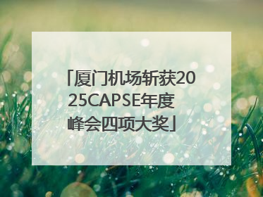 厦门机场斩获2025CAPSE年度峰会四项大奖